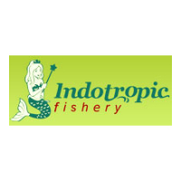Indo Tropic Fishery