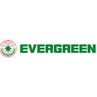Evergreen